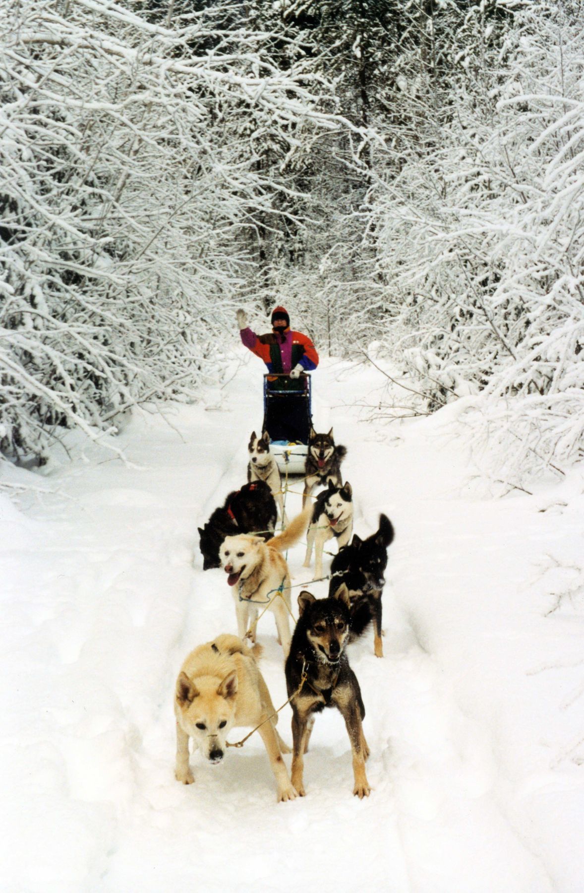 Helmcken Falls Lodge Cabin Rooms And Rv Park 클리어워터비치 외부 사진